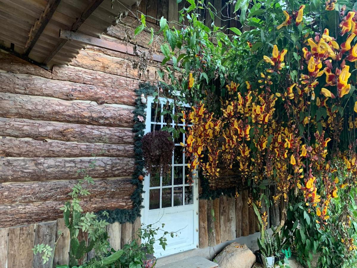 Hoa Son Village ดาลัด ภายนอก รูปภาพ