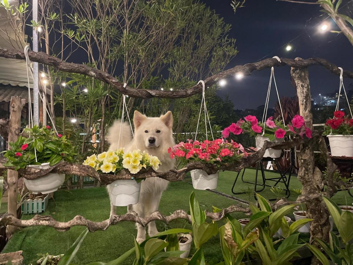 Hoa Son Village ดาลัด ภายนอก รูปภาพ